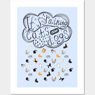 It's raining cats and dogs. Falling raindrops with cats and dogs. Posters and Art